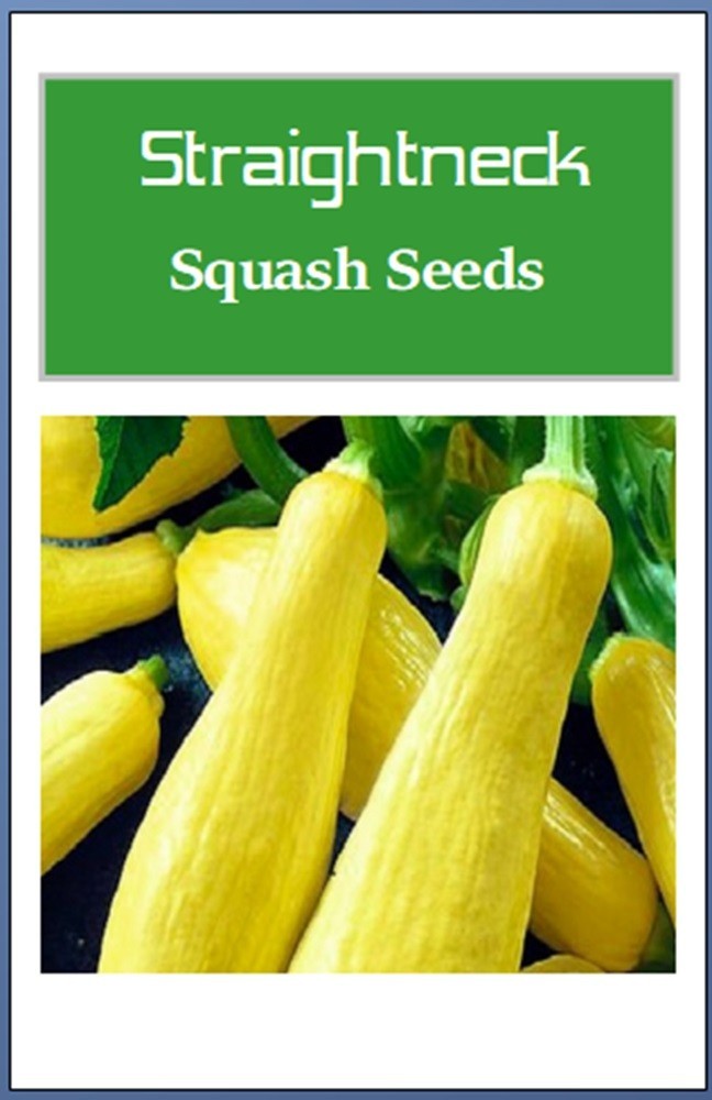 Straightneck Squash Seeds | NON-GMO Squash Seeds | Fresh Heirloom Garden Seeds