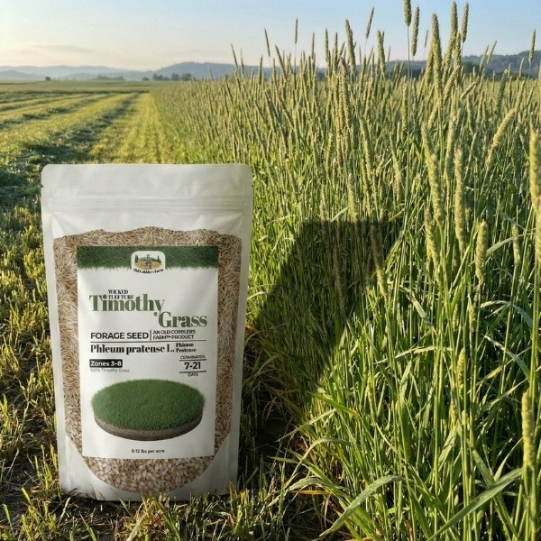 Old Cobblers Farm™ Wicked Tuff Turf Richmond Timothy Seed – High-Quality Forage