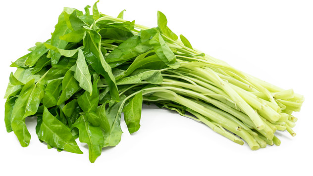 30 Water Spinach Seeds