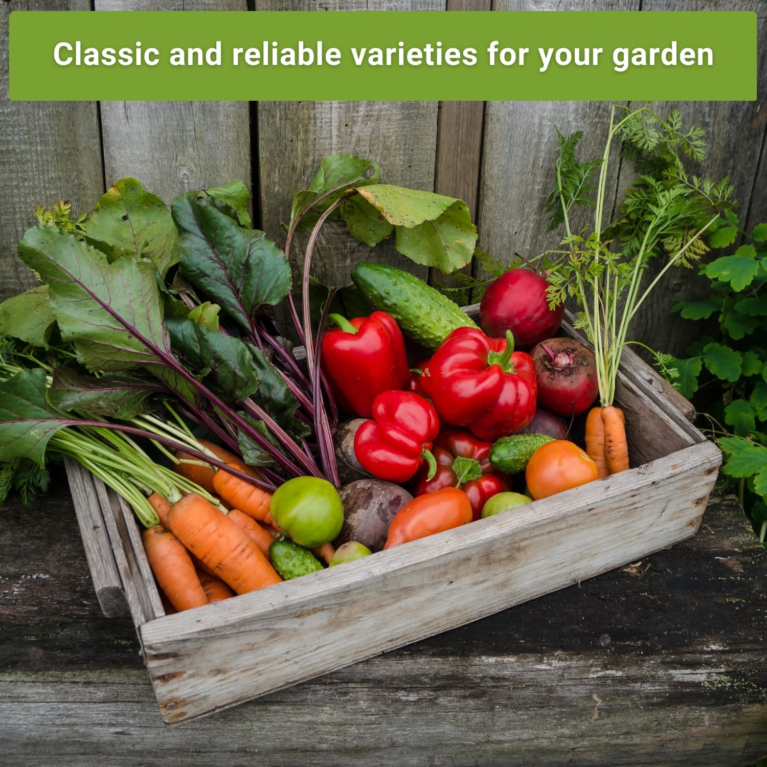 Sow Right Seeds Classic Vegetable Garden Seed Collection for Planting NonGM…