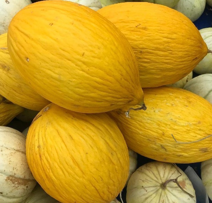 25 Sweet Fresh | NON-GMO | Crenshaw Premium Melon Seeds-B 20