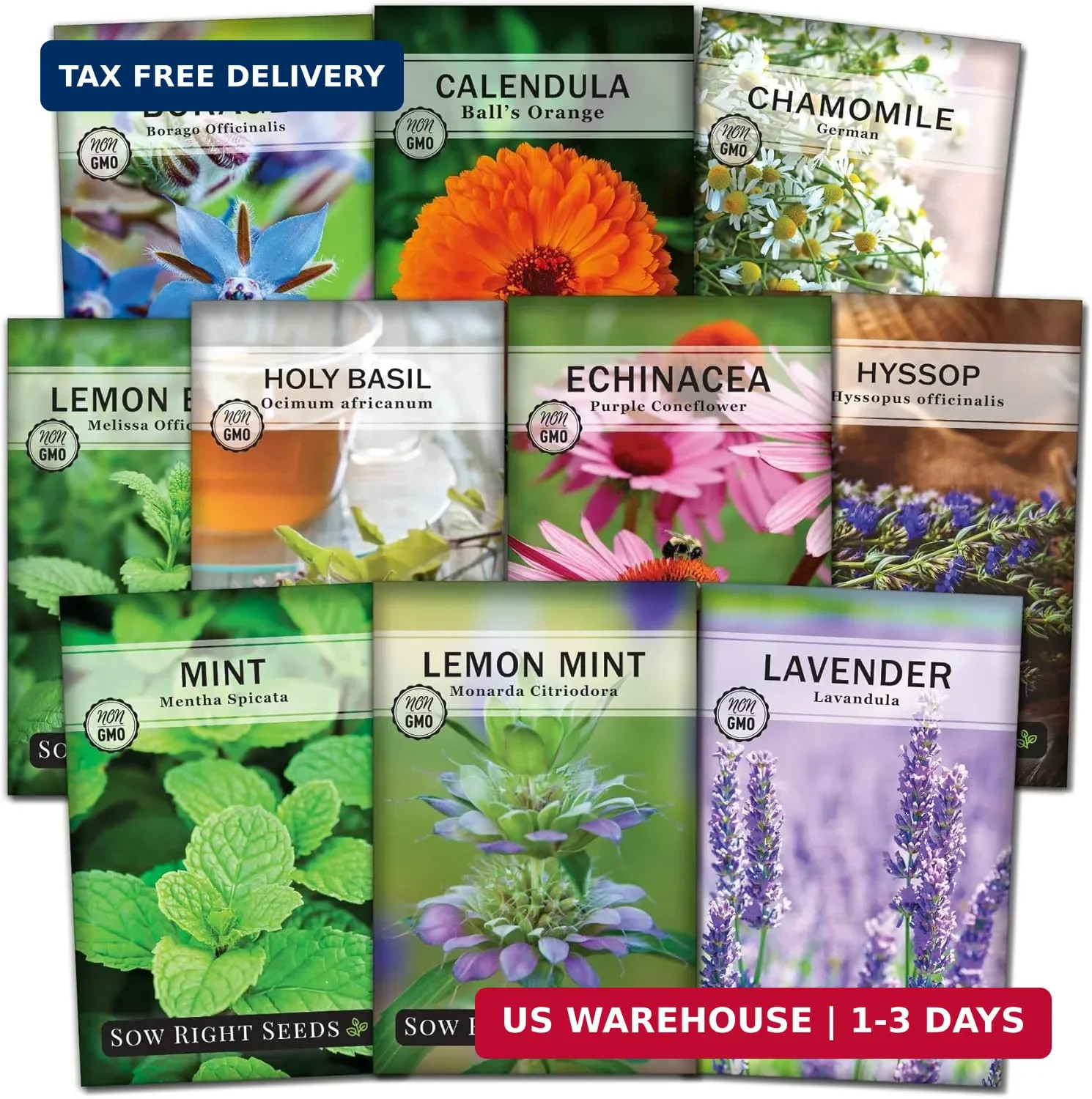Sow Right Seeds – Large Herbal Tea Garden Seed Collection for Planting – Lemon B
