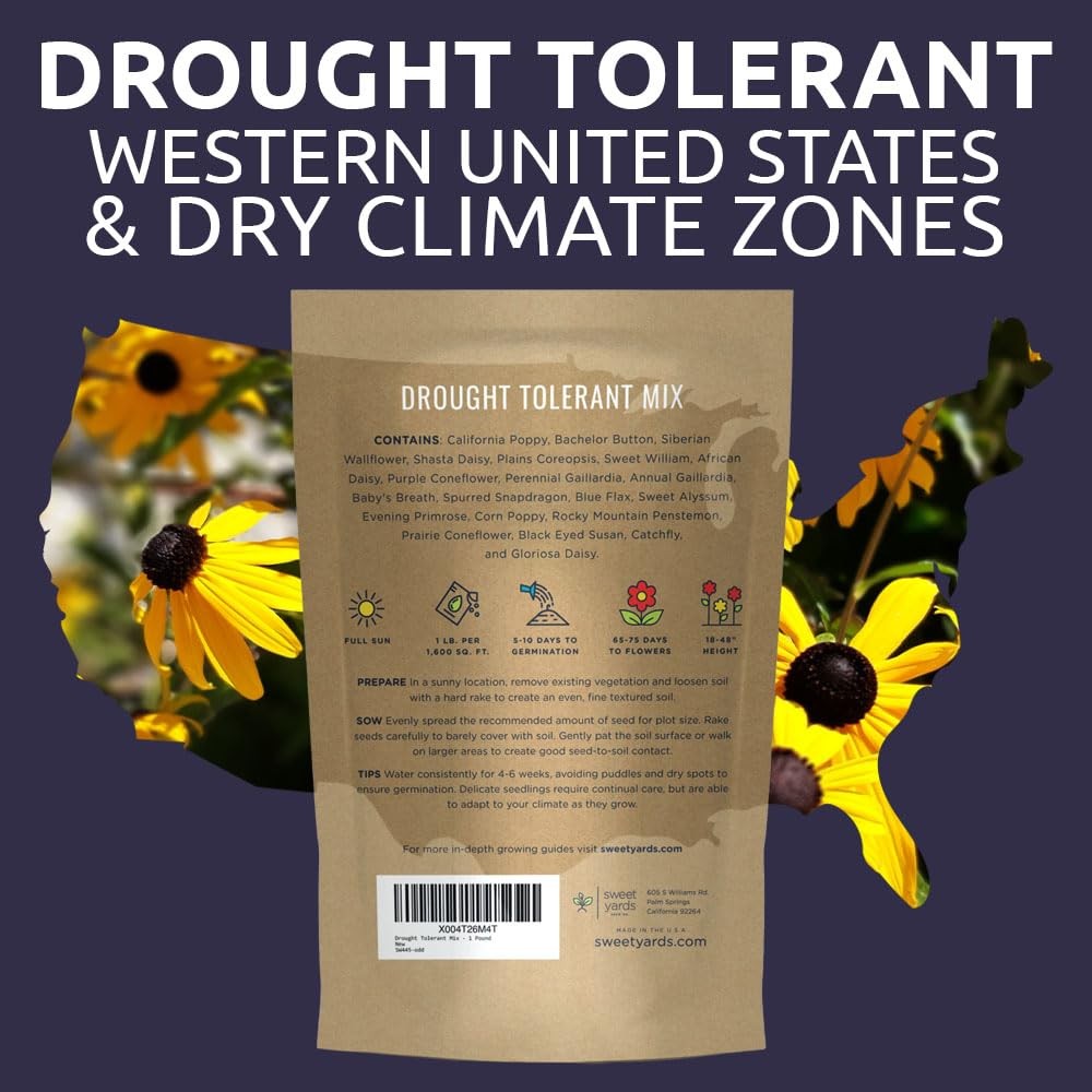 Drought Tolerant Wildflowers Mix – Bulk 1 Pound Bag – Over 120,000 Open Polli…