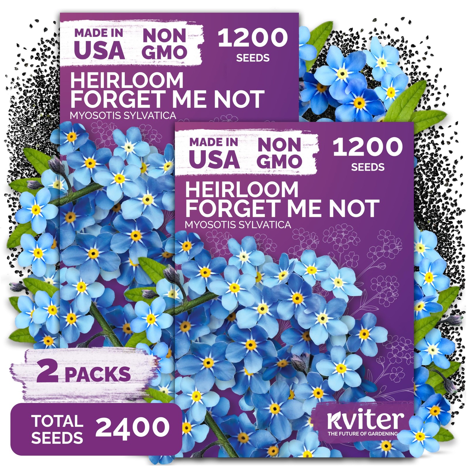 KVITER 2,400 Forget Me Not Seeds (Myosotis sylvatica), 2 Pack