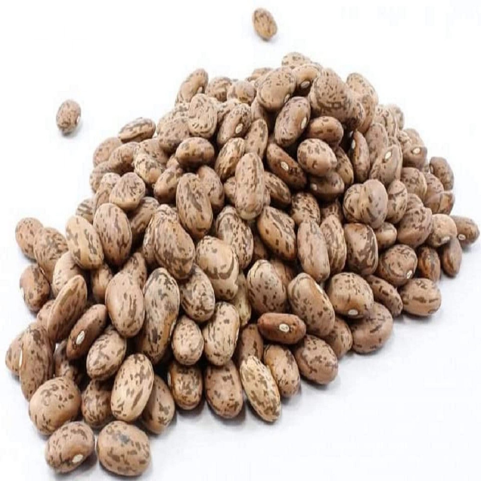 Shell Pinto Bean Seeds – 1/4 Pound Seed Pack – Tasty and Easy to Grow, These Mak