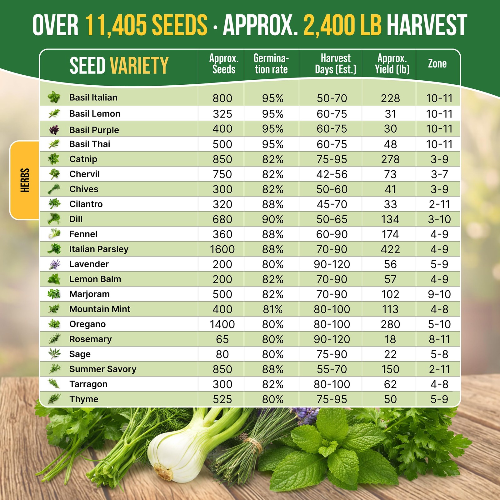 Culinary Herb Seeds Variety Pack Heirloom NonGMO Seeds for Home Gardening