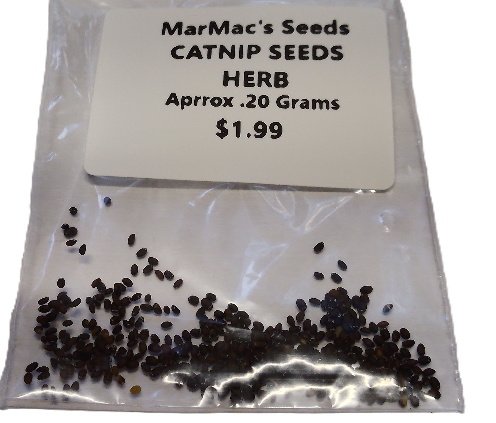 Catnip Seeds Organic Free Shipping! High Germination!