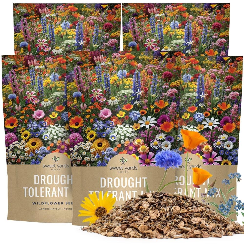 Drought Tolerant Wildflowers Mix – Bulk 5 Pounds – Over 600,000 Open Pollinat…