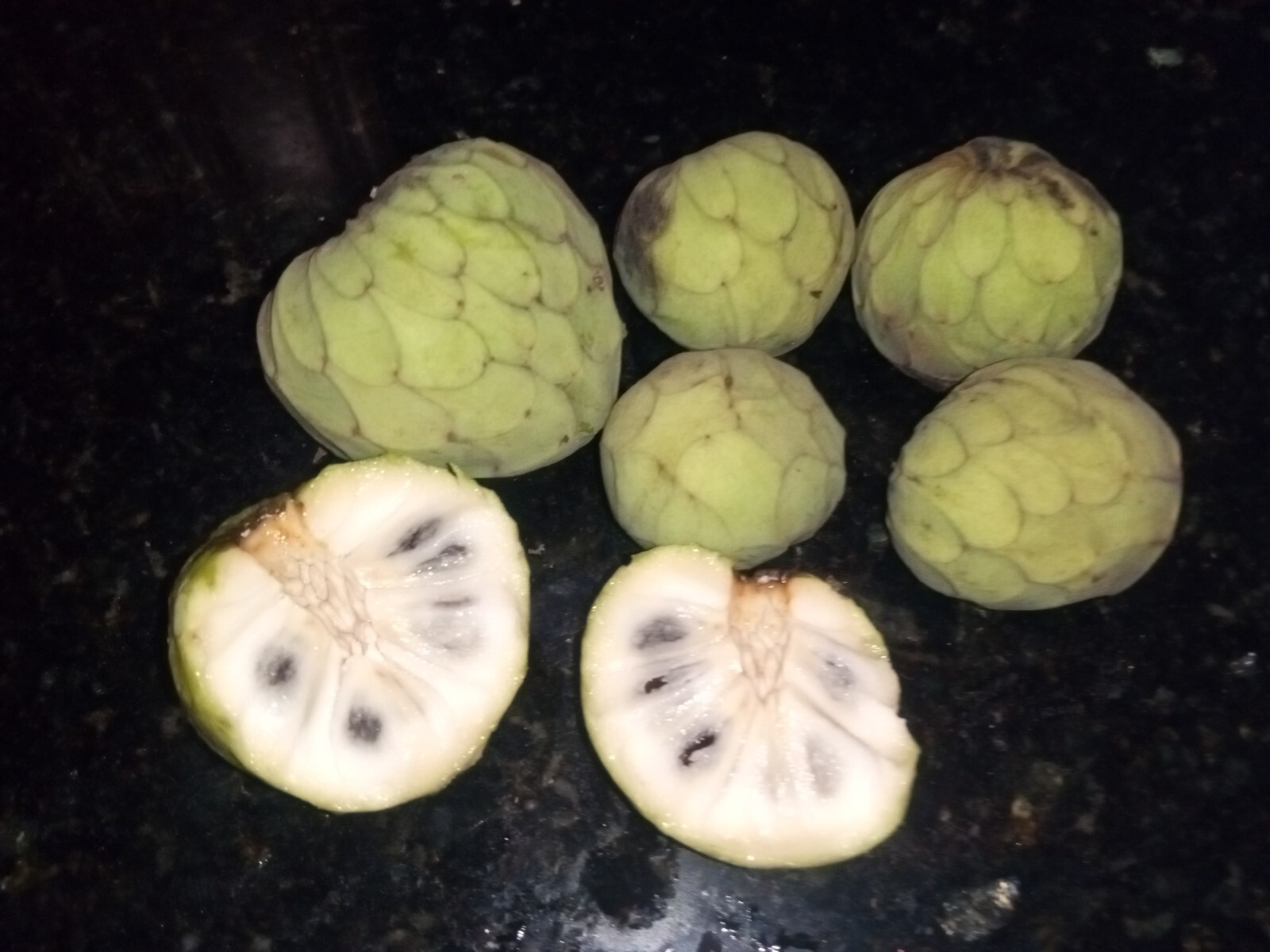 10 Organic Cherimoya/Custard Sugar Apple Tropical Fruit Seeds.US grown seeds.