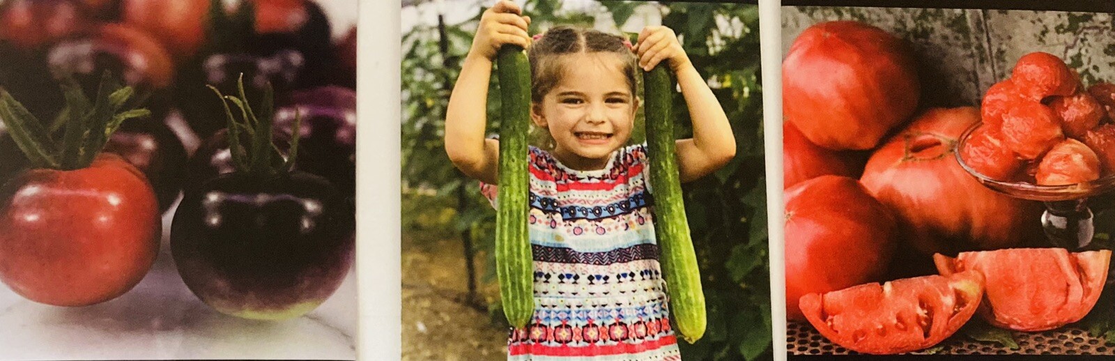 100+ Count Seeds ~ Heirloom NON-GMO Garden Tomatoes & Cucumbers ~ High Quality