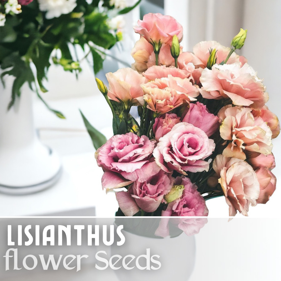 Lisianthus Seeds – 100 Seeds Garden Bloom Flower Seed Flowers Non Gmo Heirloom
