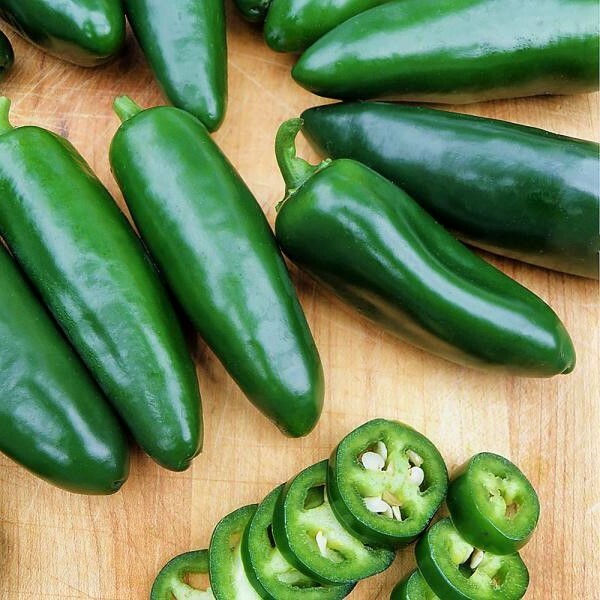 Coolapeno (Heatless Jalapeno) Pepper Seeds 10+ SHIPS FREE!