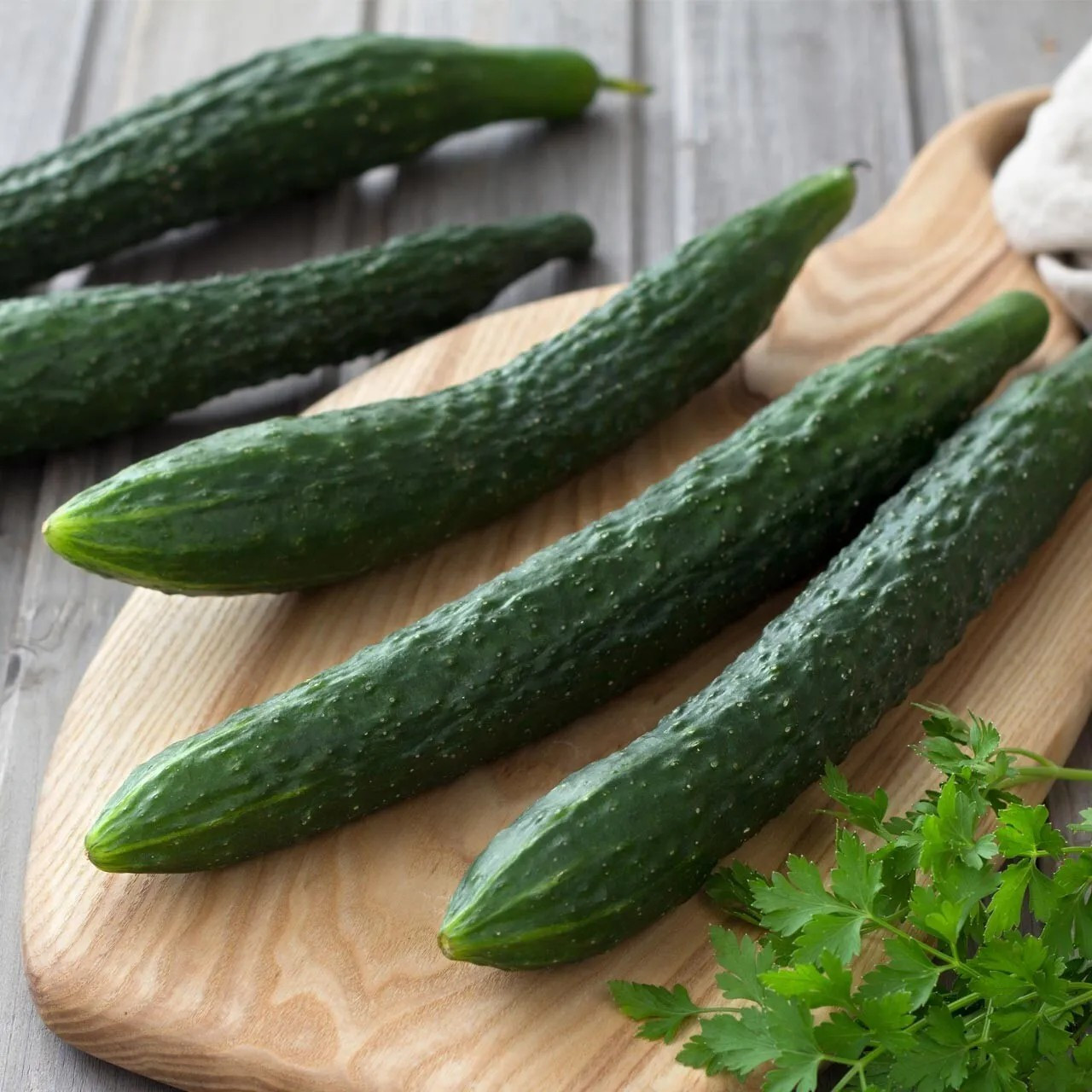 100+ Suyo Long Cucumber Seeds – Heirloom – Non GMO – Organic – Genuine —–RARE