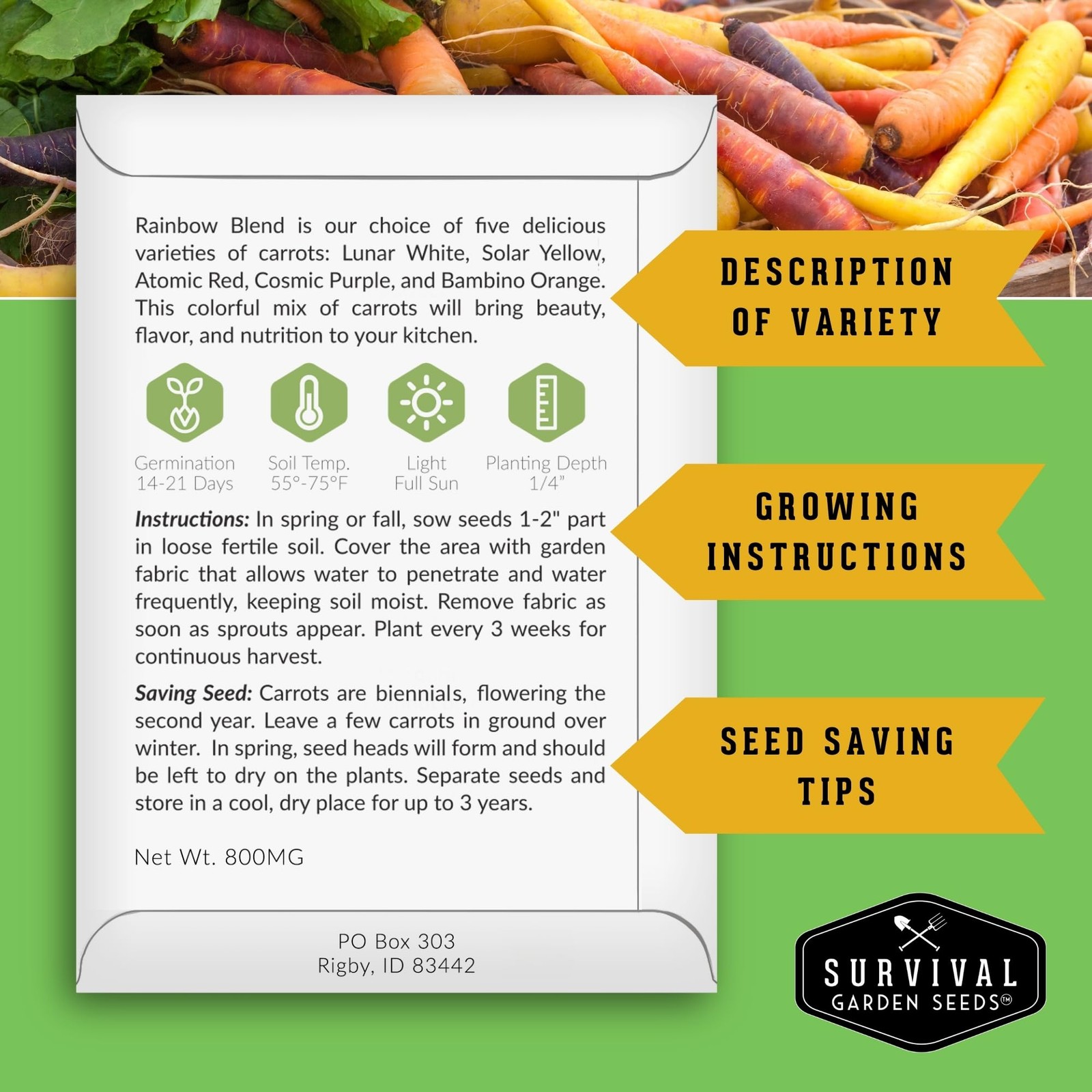 Fall Vegetable Seeds Collection – 8 Packs of Non-GMO Heirloom Cool Weather Se…