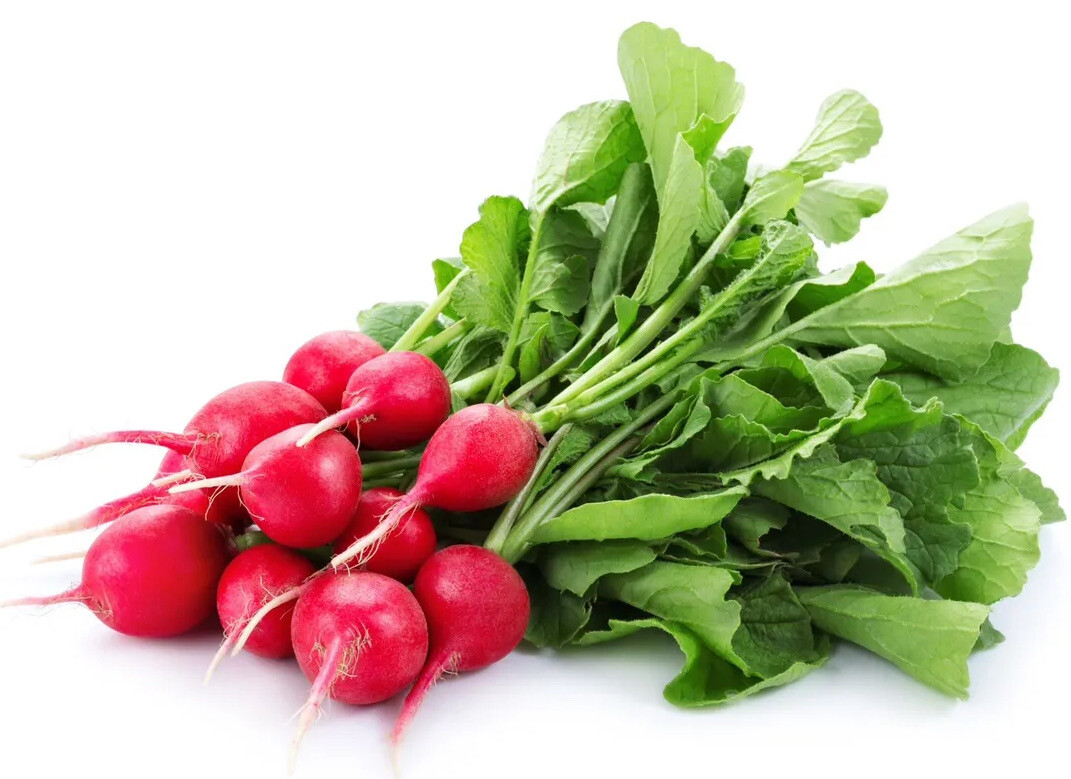 Radish Seeds – Fast Growing Heirloom Non GMO, Free Shipping, Cherry Belle