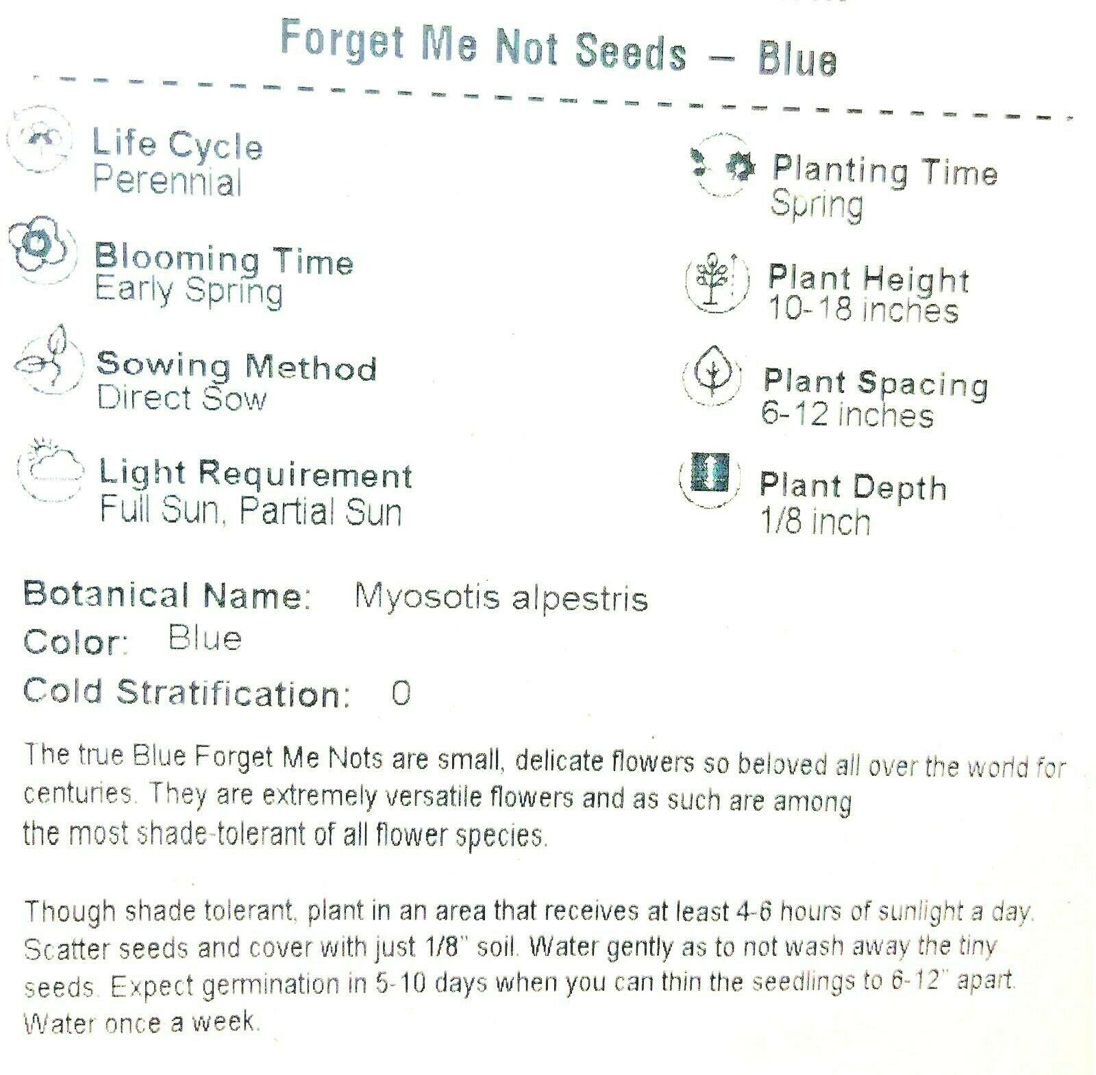 Forget Me Nots BLUE Perennial Cut Flowers Spring Blooms Non-GMO 500 Seeds