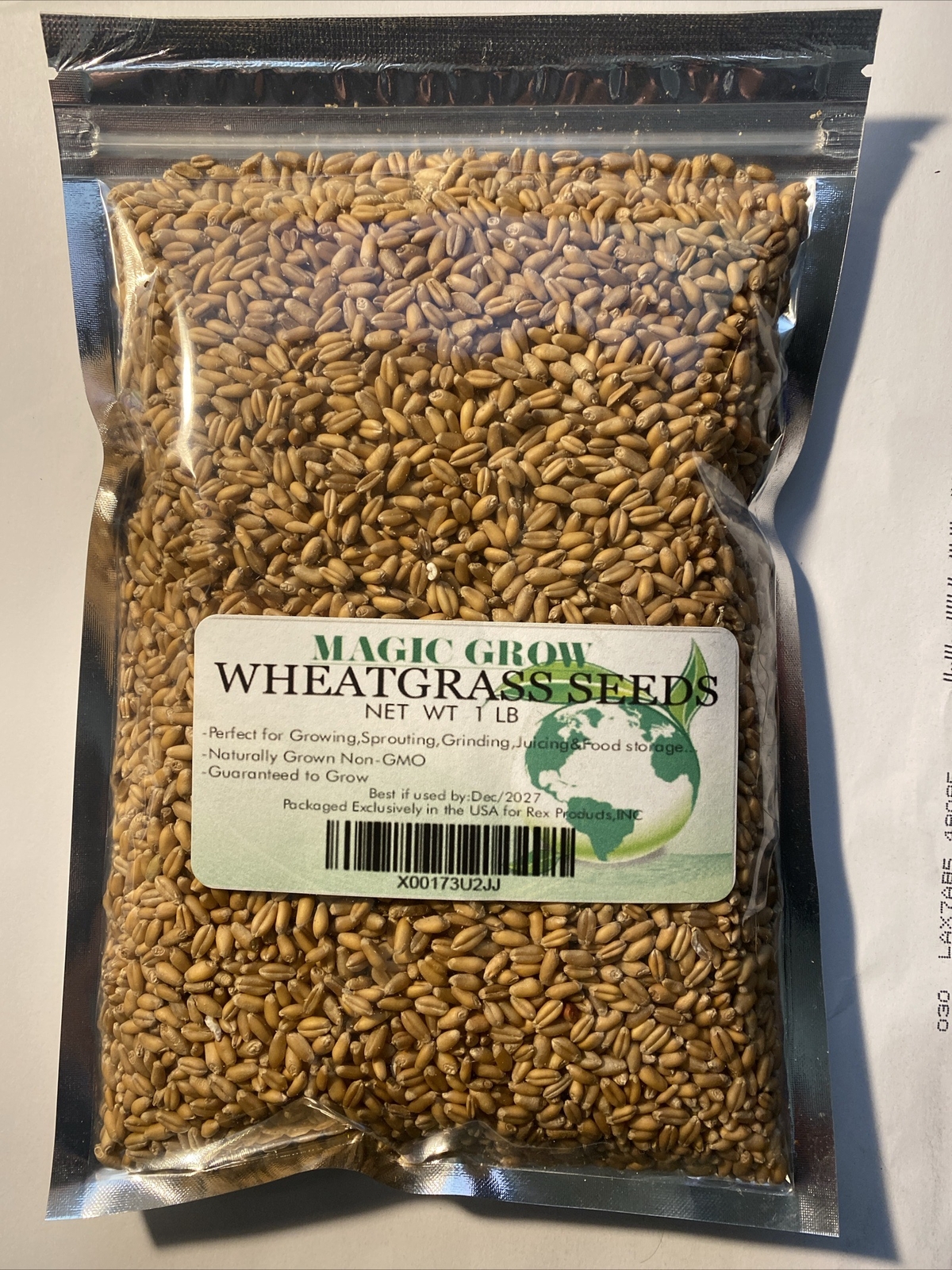 Wheat Grass Seed 1 LB (13,500+seeds) – Guaranteed to Grow !
