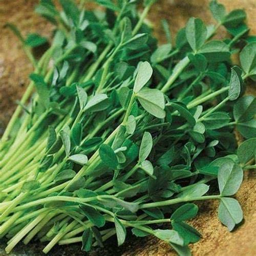 8 oz Brown Speckled Pea
