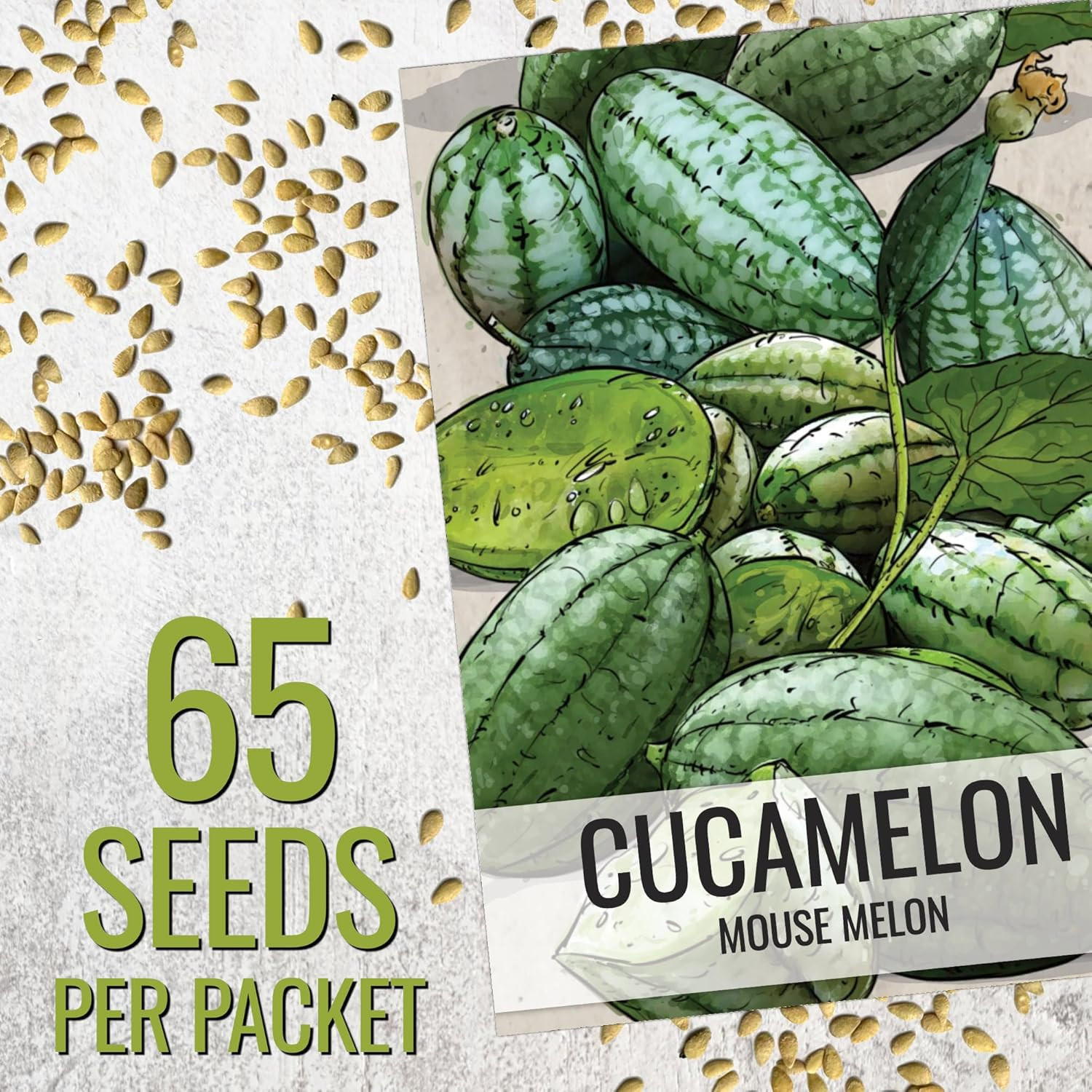 Seed Needs Cucamelon Seeds for Planting Mexican Sour Gherkin Miniature Mouse Mel