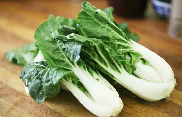 Pak Choi (Bok Choy﻿) – Tall White Stem – Non-GMO, Annual – Mai’s Fmaily