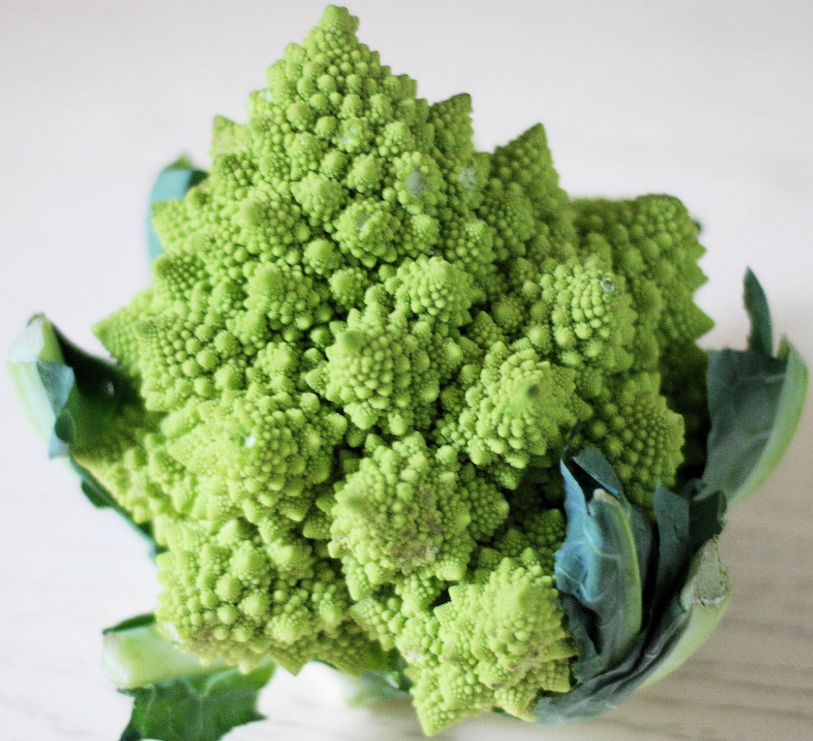 200+ Romanesco Broccoli Seeds – NON GMO — HEIRLOOM – ORGANIC — FRESH