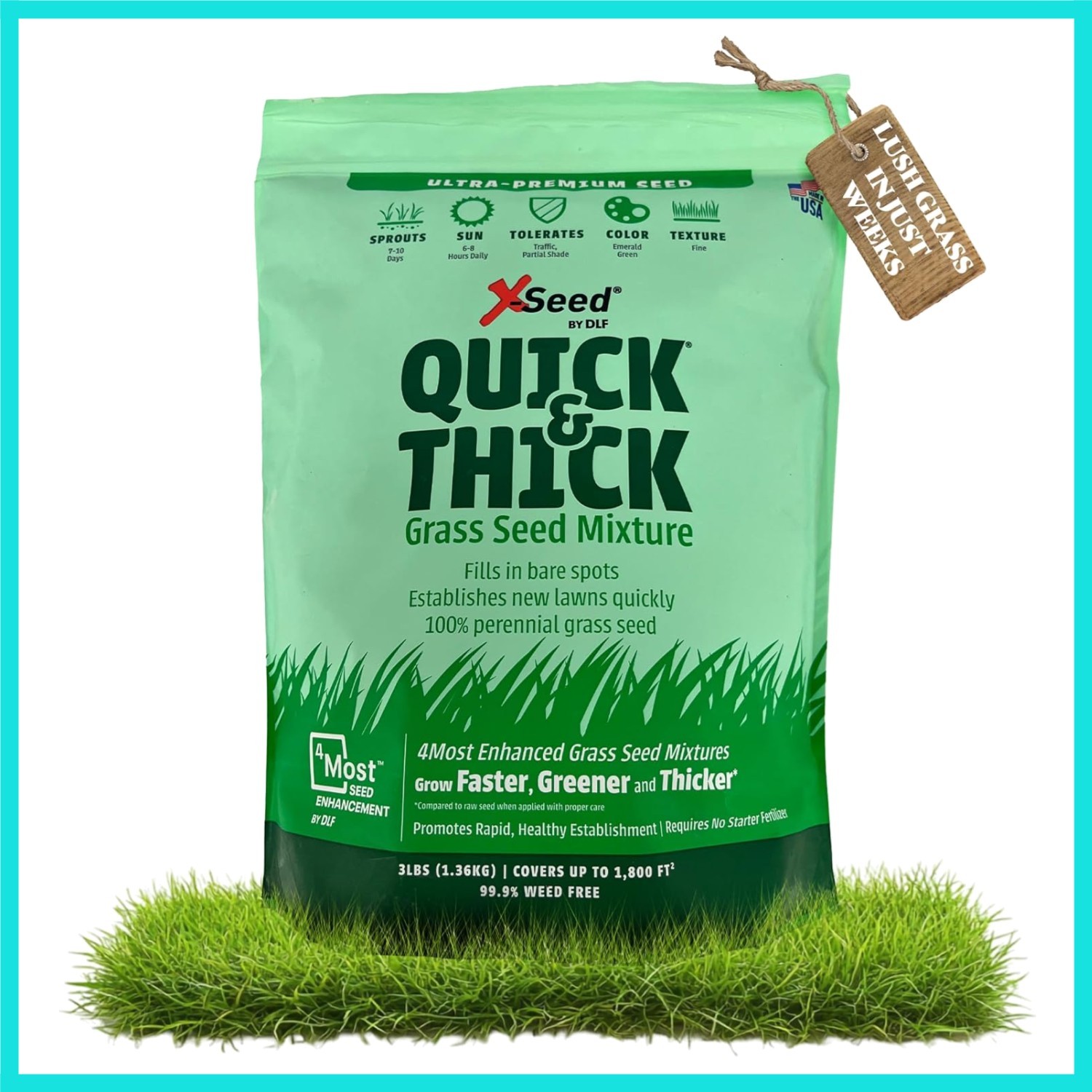Ultra Quick and Thick Lawn Seed Mixture – Rapid Germination for Any Lawn, De…