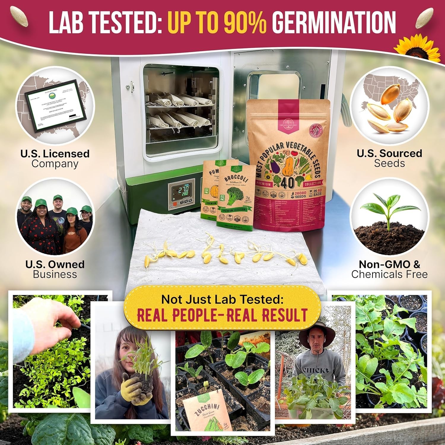 Heirloom Vegetable Seeds Pack with 40 Varieties for Home Garden Enthusiasts