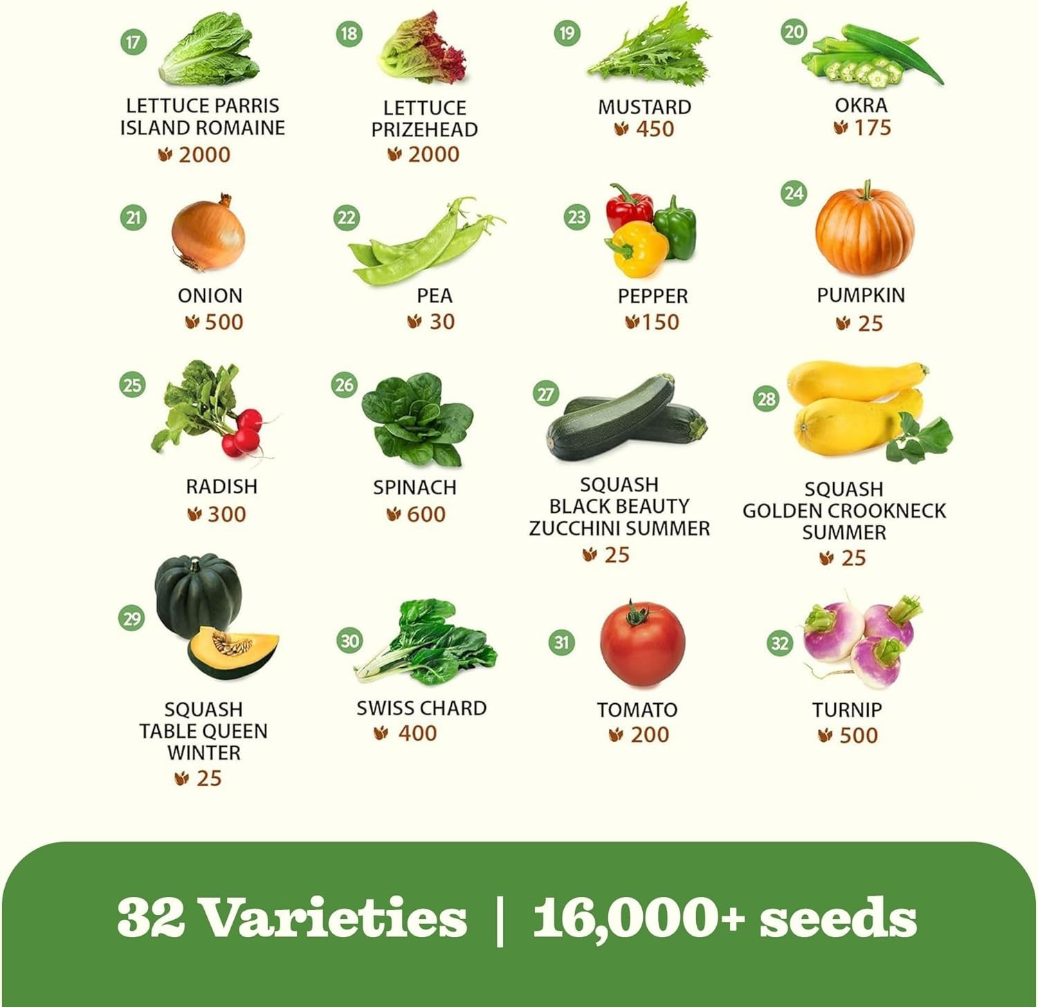 HOME GROWN 5/7/32 Lettuce Seed Pack 3950 Heirloom Vegetable Seeds for Multi