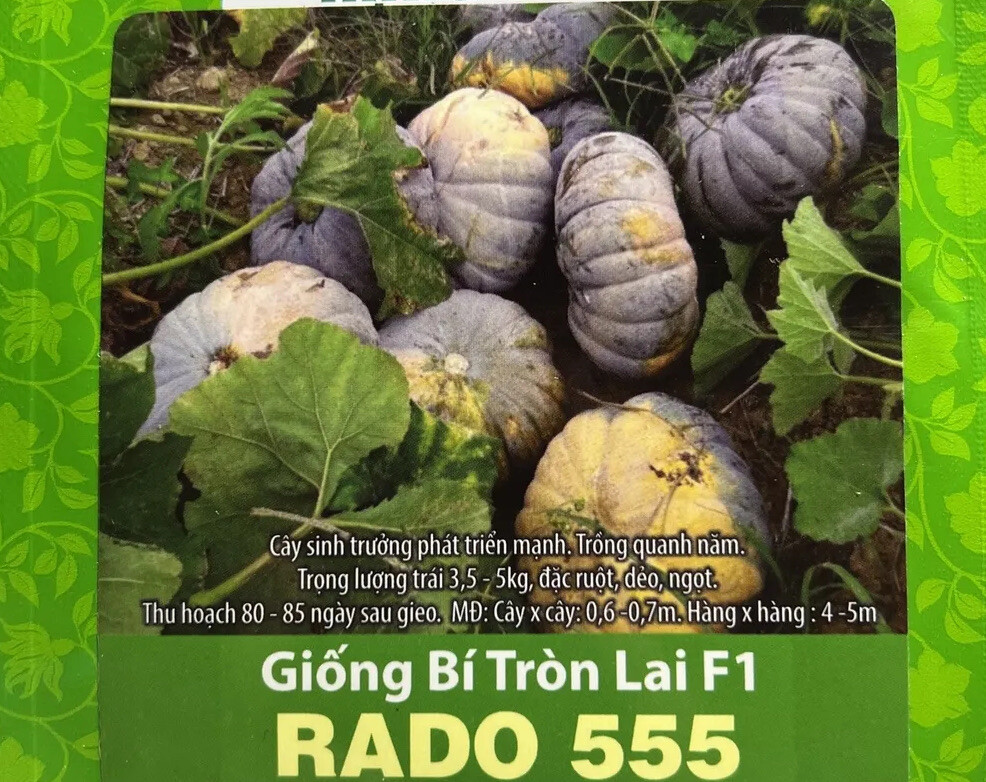 20+ Giống Bí Tròn Lai F1 Hat Giong Bi Viet Nam Vietnamese Pumpkin Seeds