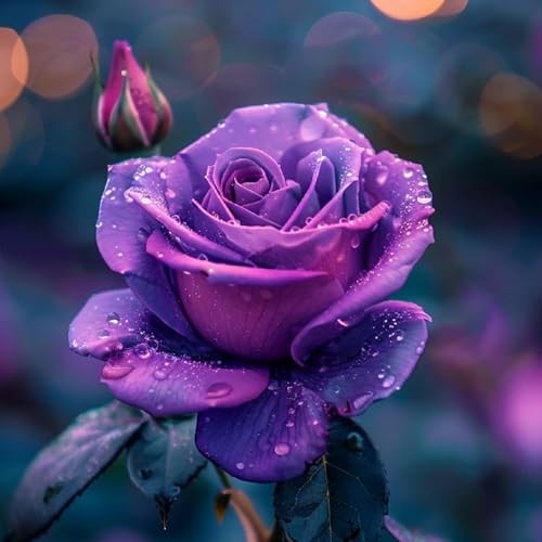 Mix Climbing Rose Seeds for Planting, 30+pcs Beauty Rare Rose Flower Seeds,