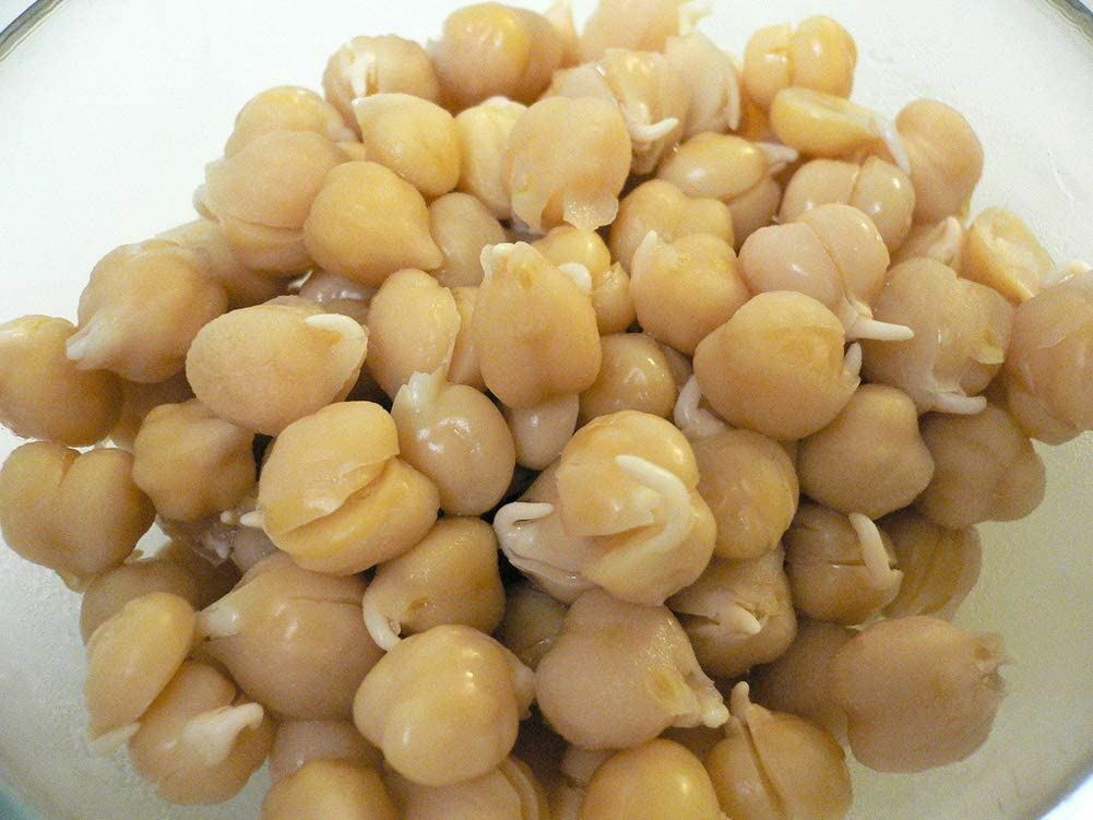 Peyton’s protein mix seeds for sprouting microgreens “Cool Beans N Sprouts”.