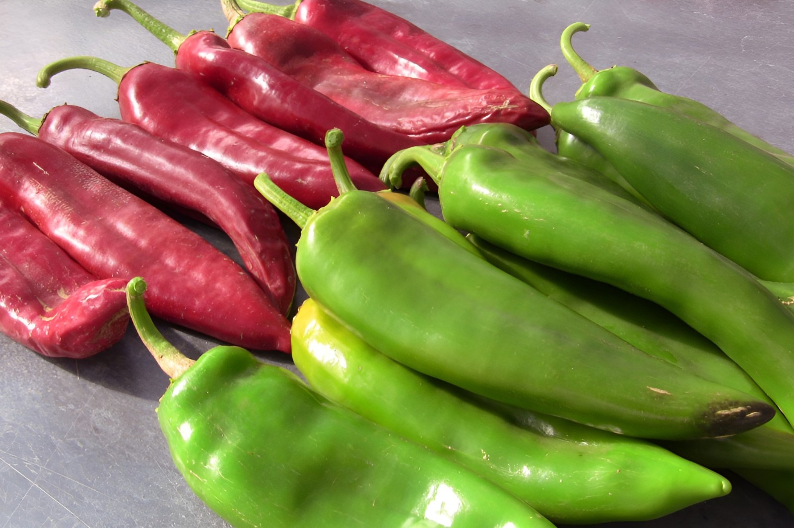 75 Heirloom NuMex BIG Jim Legacy Hatch Chili Seeds – Giant Mild Foot Long Pepper