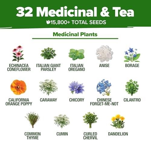 Herb Seeds 32 Medicinal Herbs and Tea Variety Pack – Annual & Perennial Herb