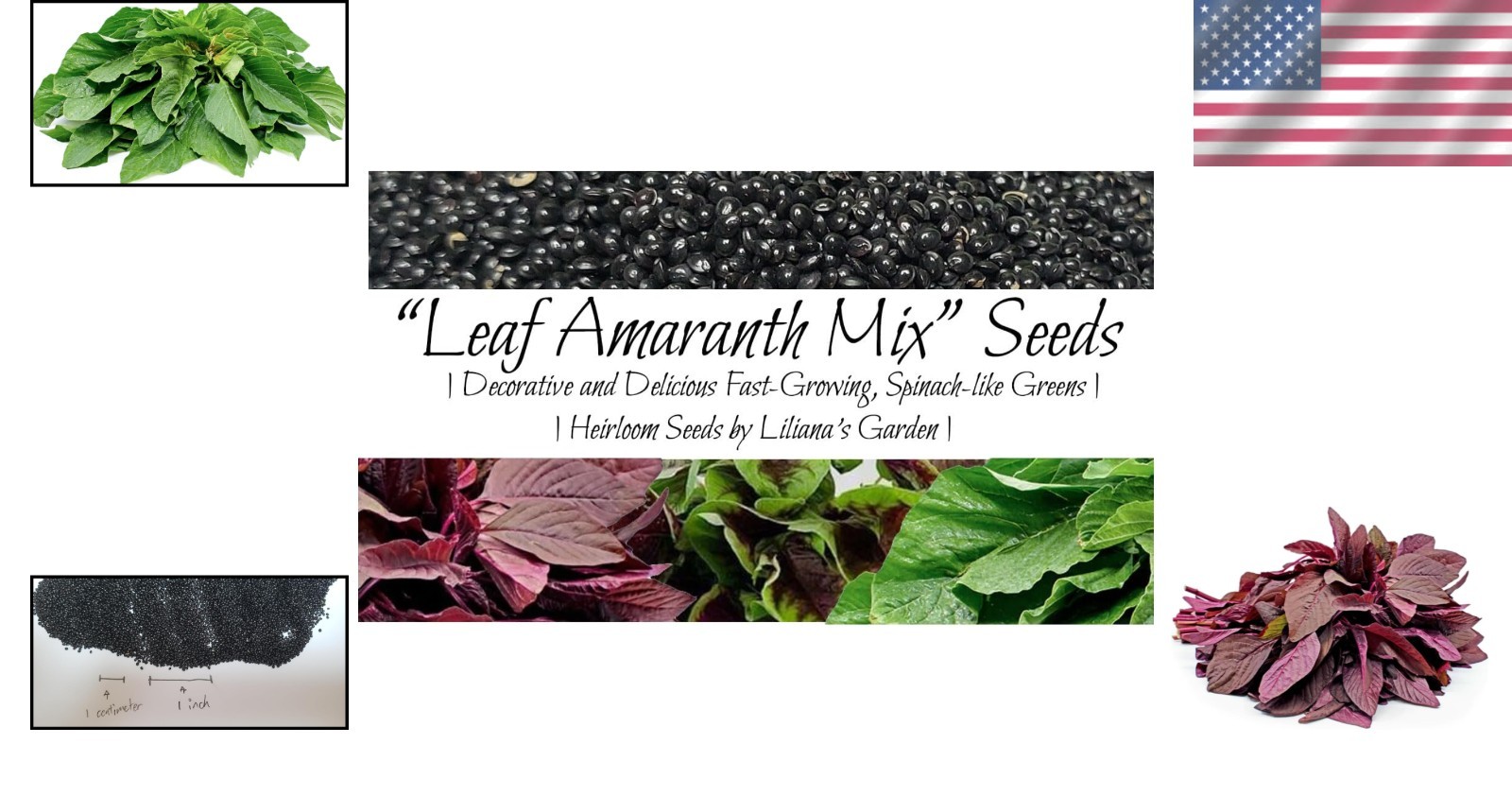 Fast-Growing Leaf Amaranth Seeds – Colorful Pet-Friendly Greens for Containers