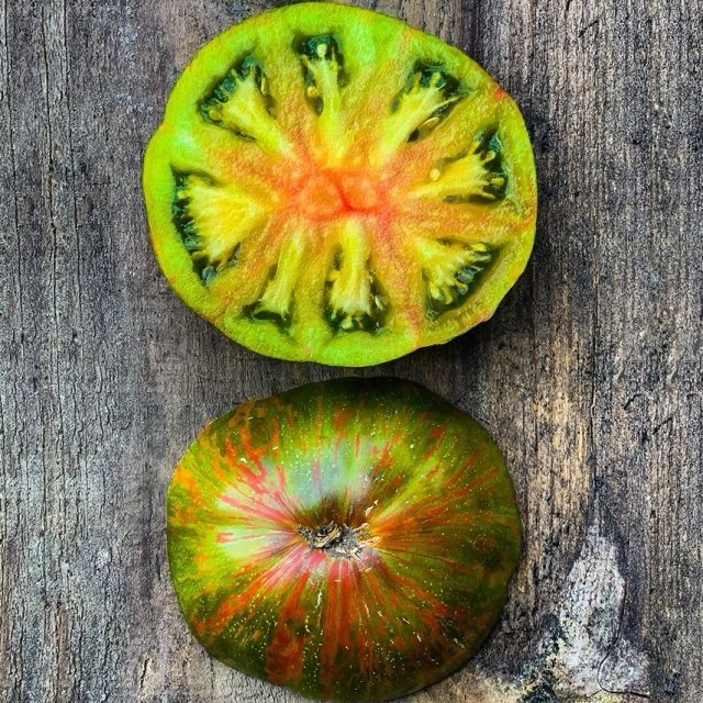 TOMATO BERKELEY TIE DYE GREEN 10+ Pcs Seeds August 2025 Harvest US Family Farm