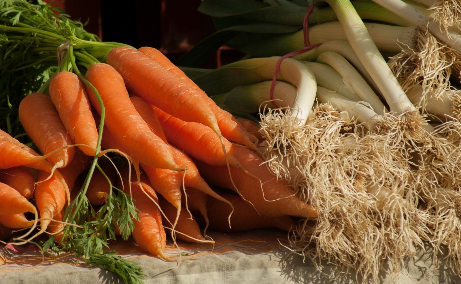 Vegetable Seeds -Danvers Half Long Carrot- 500 Heirloom Seeds Sweet Crunchy