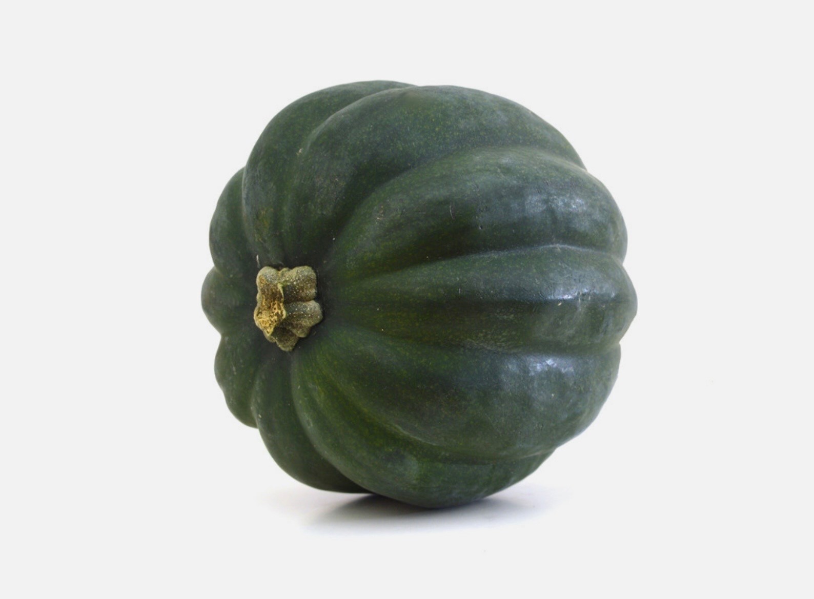 Fresh Table Queen Acorn Squash Seeds, Winter Organic Heirloom, 2026 🇺🇸U.S.A.