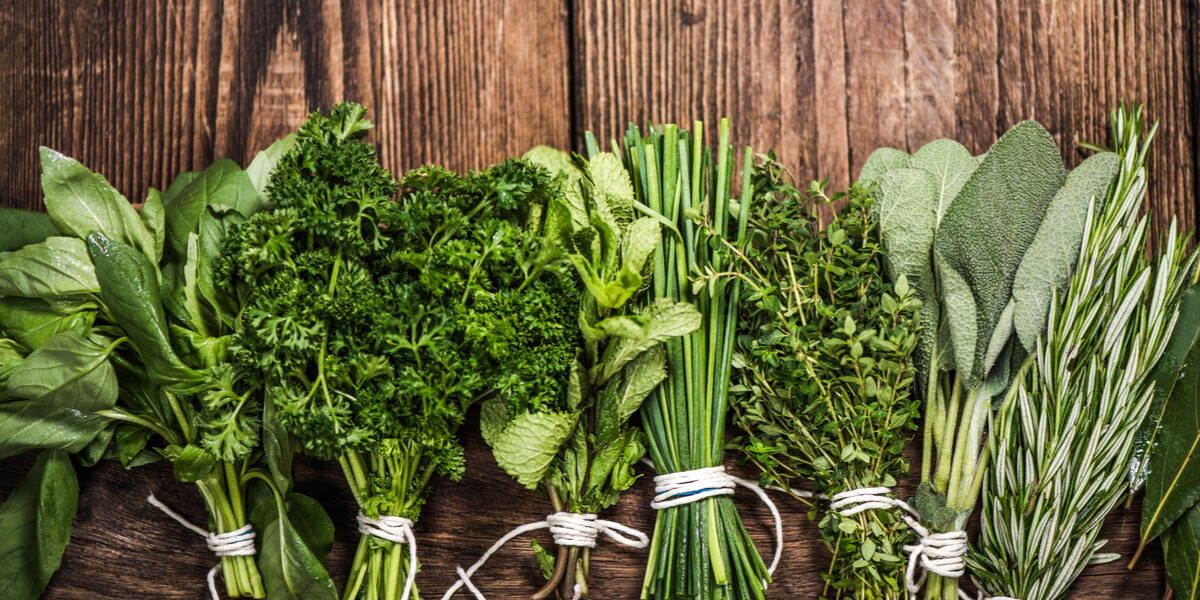 7 CULINARY herb varieties NON-GMO SEEDS GREAT in the KITCHEN ESSENTIAL SURVIVAL!