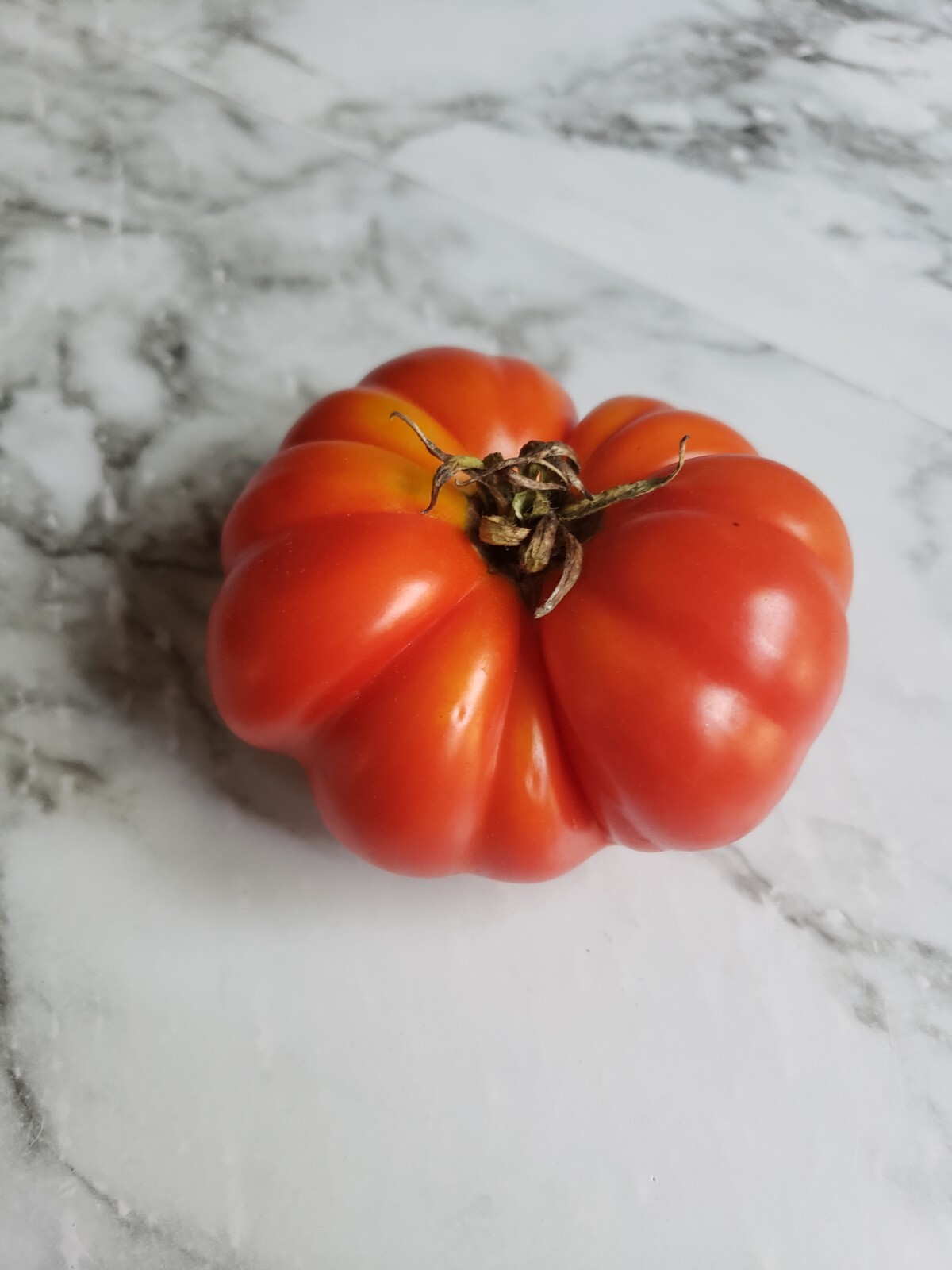 Heirloom, Open Pollinated, Non GMO Garden Seeds