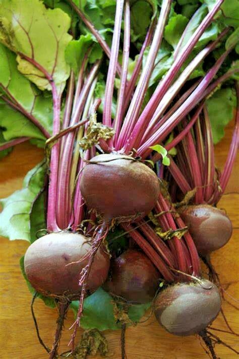 101+DETROIT DARK RED BEET Seeds Heirloom Vegetable Garden Patio Container Easy