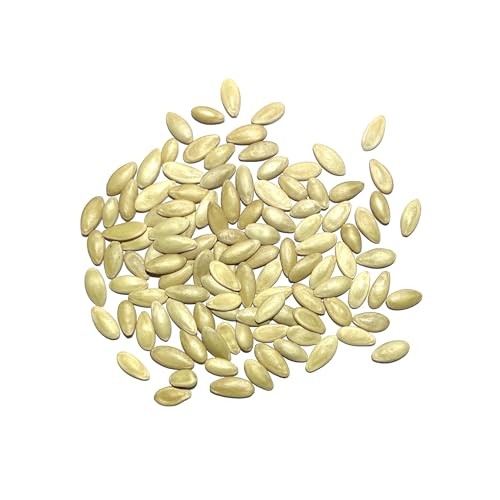 Cucamelon Seeds/Lemon Cucumber Seeds for Planting – Non Cucamelon + Lemon Cuke