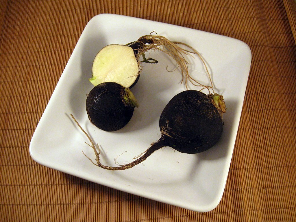 500 Black Spanish Round Radish – Non-GMO Heirloom Radish – Cold Weather Tolerant