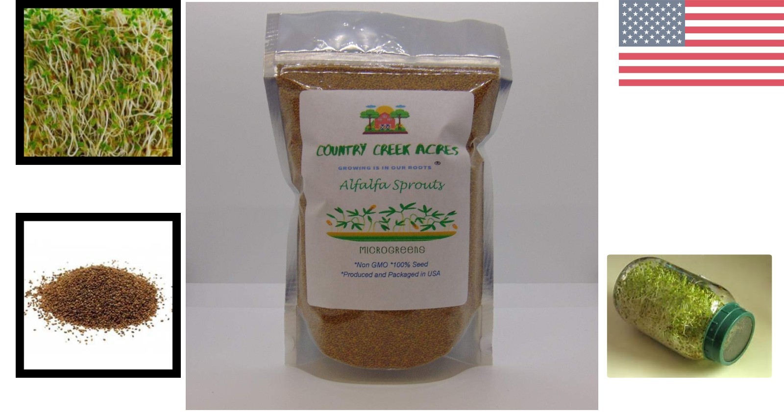 Nutritious 4 oz Alfalfa Sprouting Seeds – Non-GMO, Easy to Grow, Resealable Pack