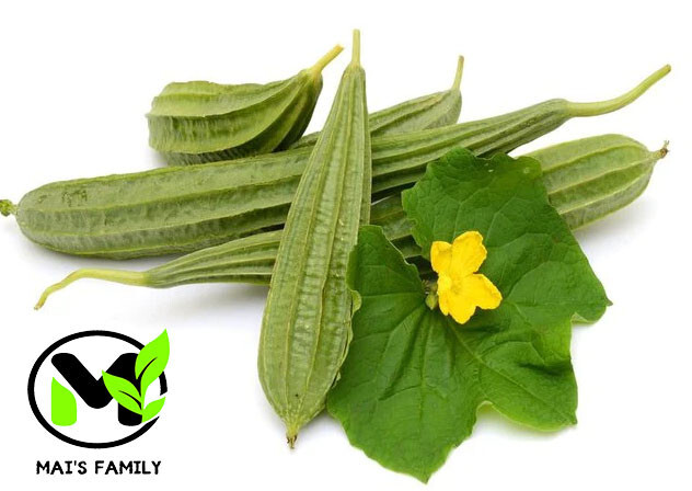 Angled Luffa Seeds – Ridged Sponge Gourd Mướp Khía USA