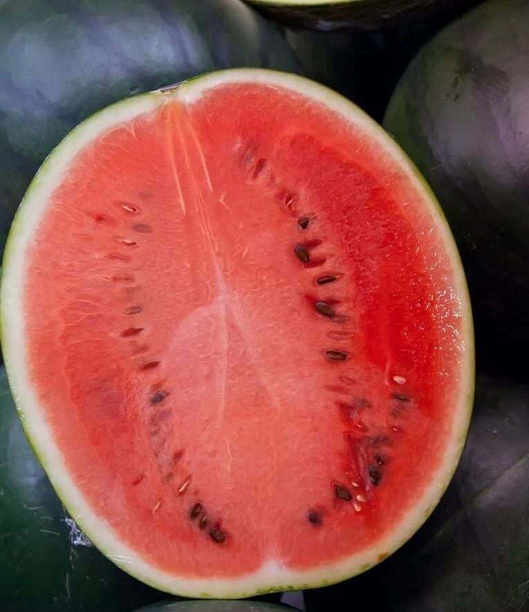 Black Diamond Watermelon Seeds, NON-GMO, Large Watermelon, FREE SHIPPING