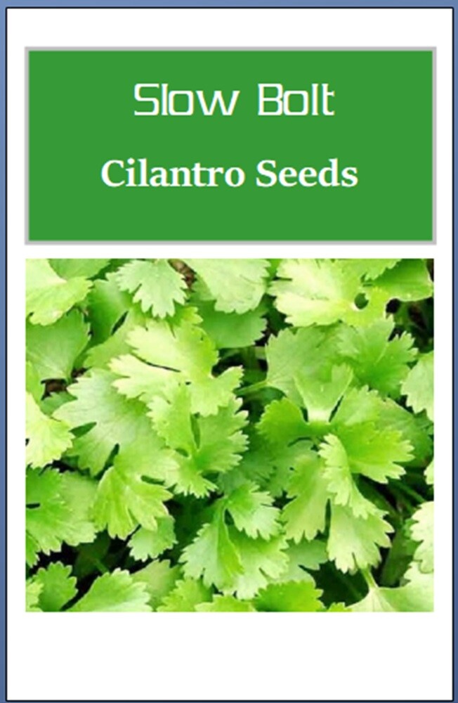 Cilantro Seeds | NON-GMO | Heirloom | Fresh Garden Seeds