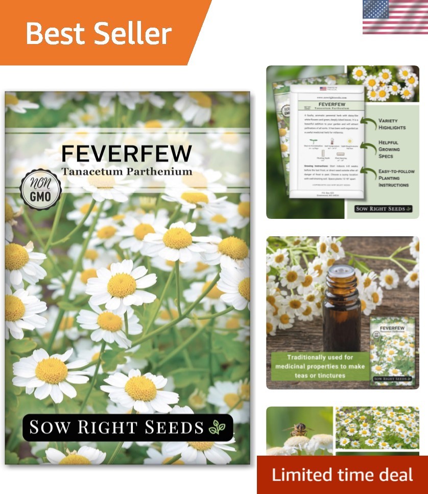 Feverfew Seeds for Planting – Non-GMO Heirloom Packet with Instructions to Pl…