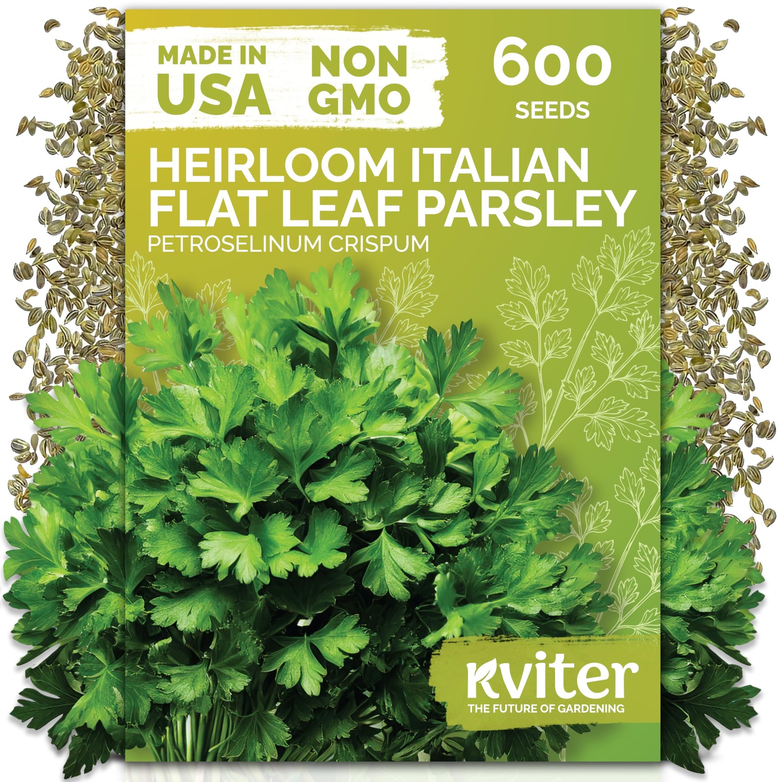 600 Flat Leaf Italian Parsley Seeds Petroselinum crispum Flavorful Classic F…
