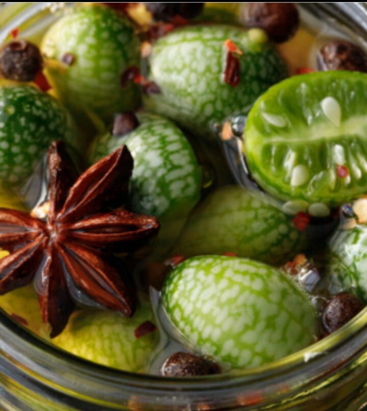 Mexican Sour Gherkin Cucumber Seeds – Cucamelon – Mouse Melon | 25 Seeds $ 2.75