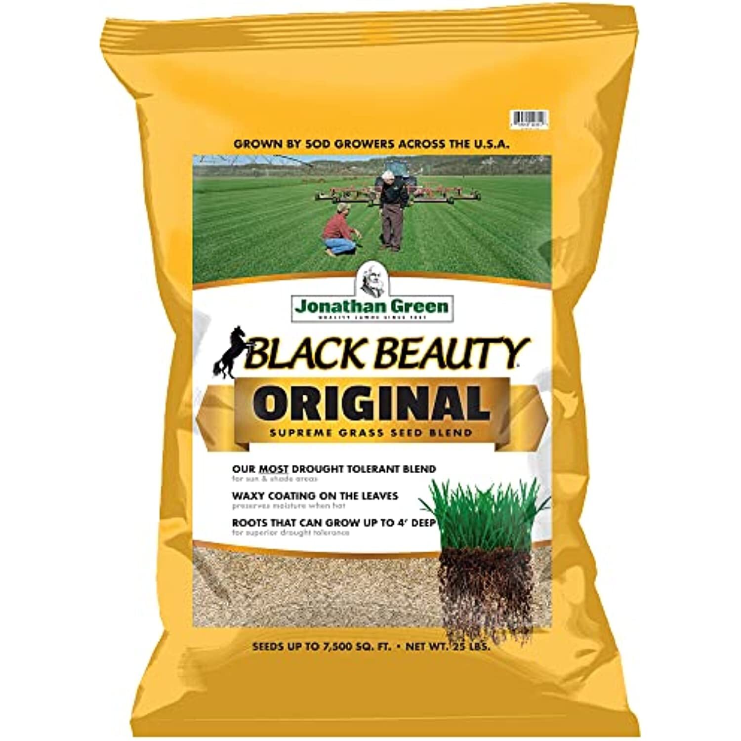 Jonathan Green 10315 Black Beauty Grass Seed Mix, 25-Pound